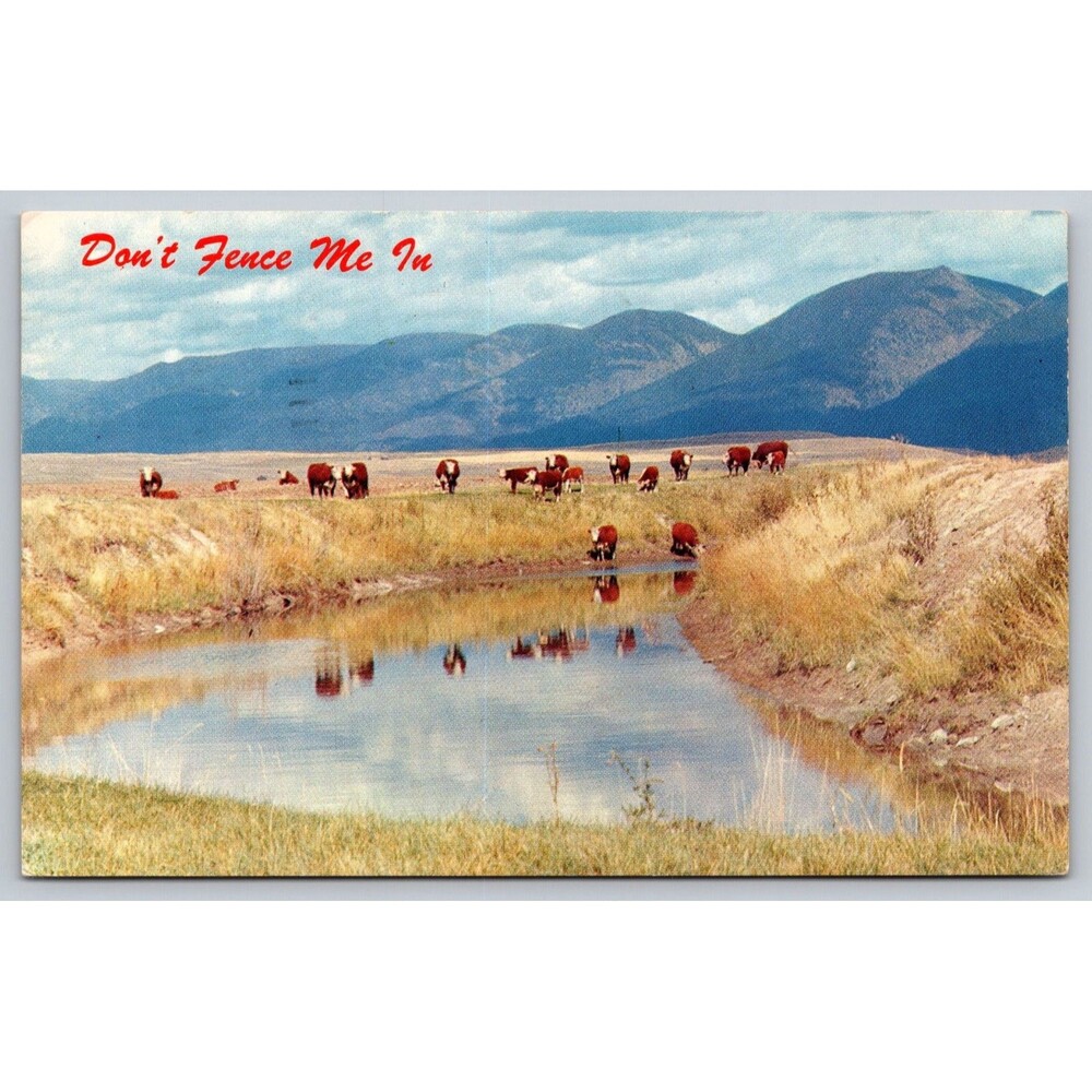 Postcard Kansas Ottawa Cows Cattle Water Hole Mountains Don't Fence Me In 1953